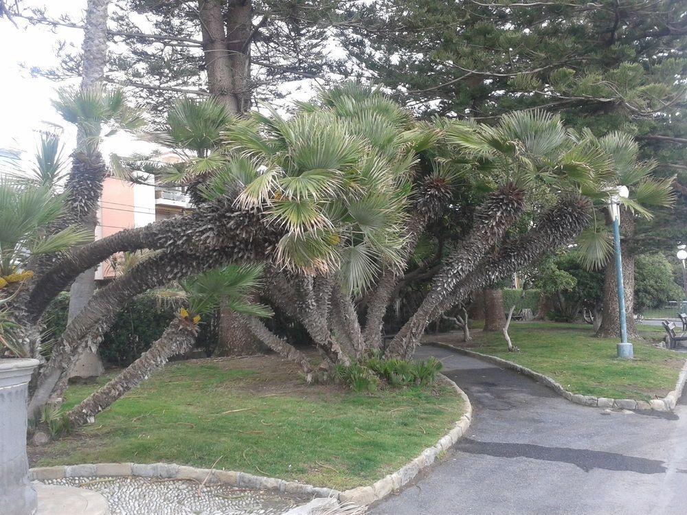 Hotel Duarte Bordighera Buitenkant foto